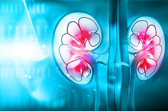 kidney health tips marathi